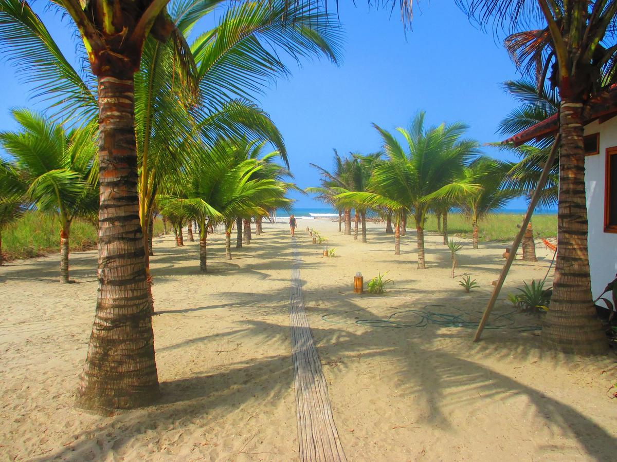 Beach Front Bungalows At The Coconut Canoa Buitenkant foto